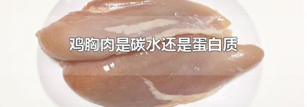 鸡胸肉是碳水还是蛋白质