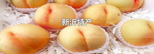 新沂特产