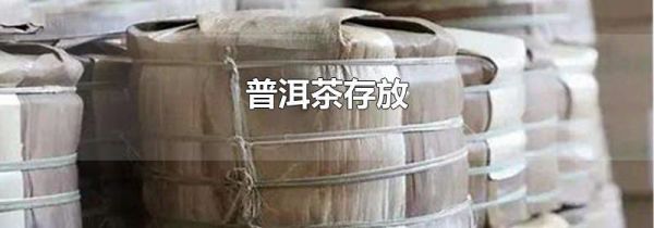 普洱茶存放