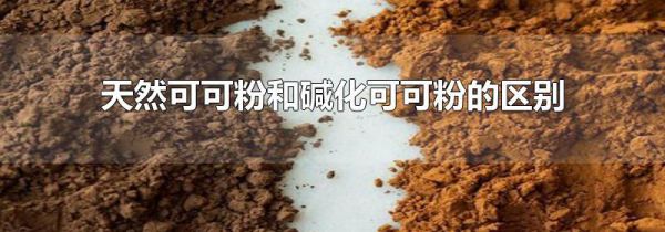 天然可可粉和碱化可可粉的区别