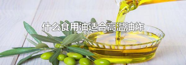 什么食用油适合高温油炸