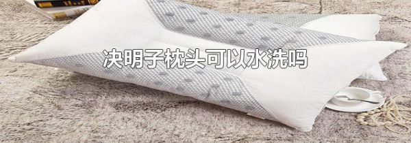 决明子枕头可以水洗吗
