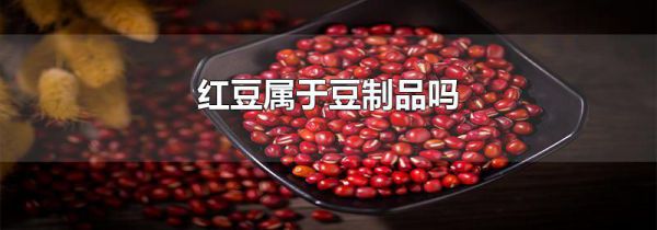 红豆属于豆制品吗