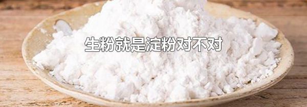 生粉就是淀粉对不对