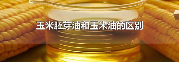 玉米胚芽油和玉米油的区别