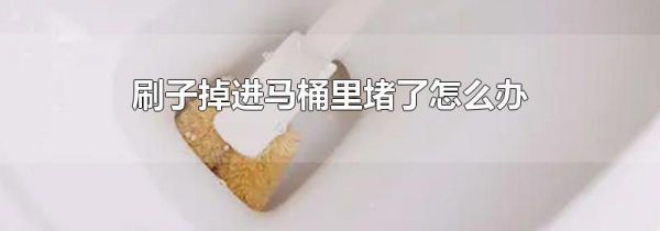 刷子掉进马桶里堵了怎么办
