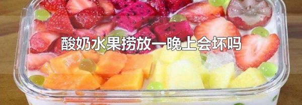 酸奶水果捞放一晚上会坏吗
