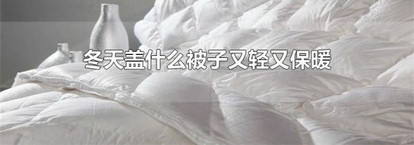冬天盖什么被子又轻又保暖