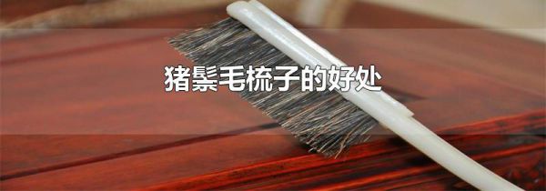 猪鬃毛梳子的好处