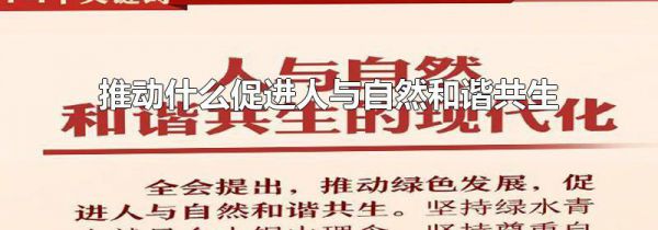 推动什么促进人与自然和谐共生