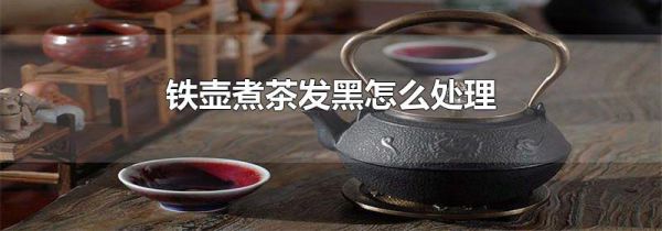 铁壶煮茶发黑怎么处理
