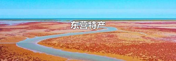 东营特产