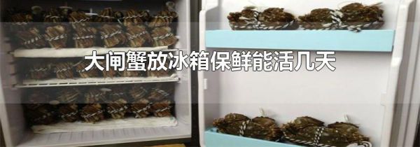 大闸蟹放冰箱保鲜能活几天