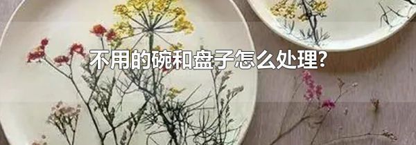 不用的碗和盘子怎么处理?