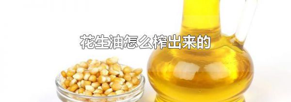 花生油怎么榨出来的