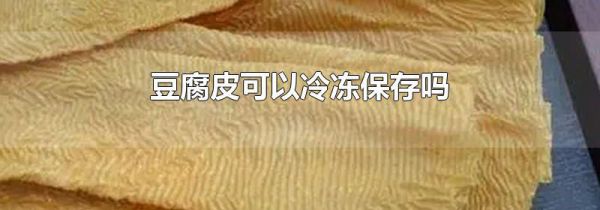 豆腐皮可以冷冻保存吗