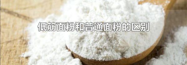 低筋面粉和普通面粉的区别