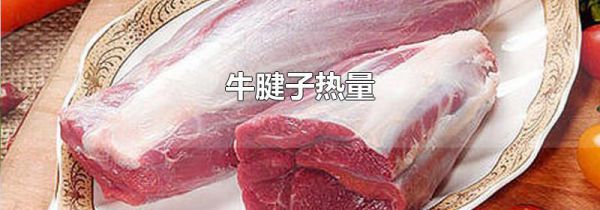 牛腱子热量