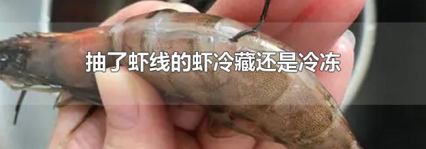 抽了虾线的虾冷藏还是冷冻
