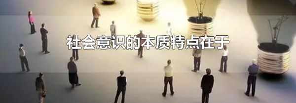社会意识的本质特点在于