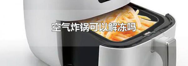空气炸锅可以解冻吗