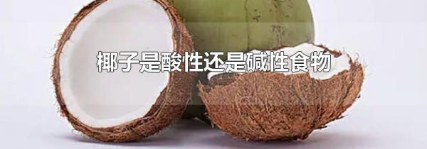 椰子是酸性还是碱性食物
