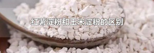 红薯淀粉和玉米淀粉的区别