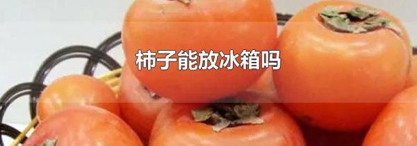 柿子能放冰箱吗