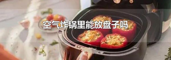 空气炸锅里能放盘子吗