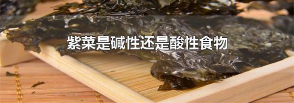 紫菜是碱性还是酸性食物