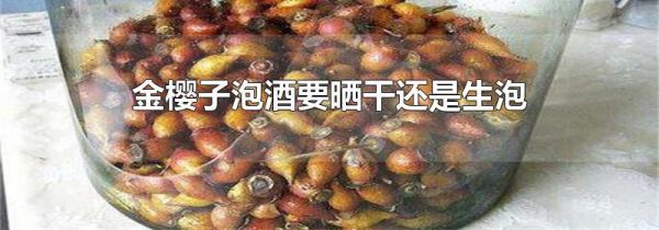金樱子泡酒要晒干还是生泡