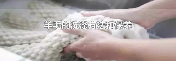 羊毛的洗涤方法和保养
