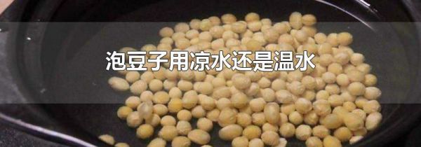 泡豆子用凉水还是温水
