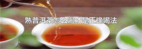 熟普洱茶怎么喝才是正确喝法