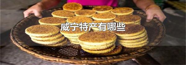 威宁特产有哪些