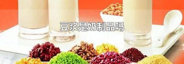 豆浆是奶制品吗