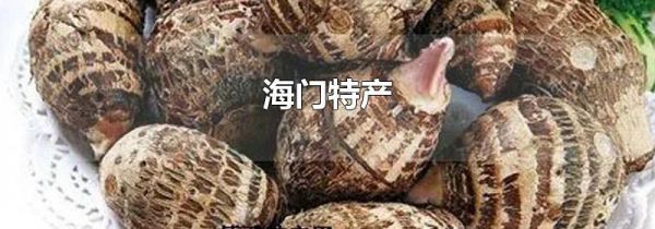 海门特产