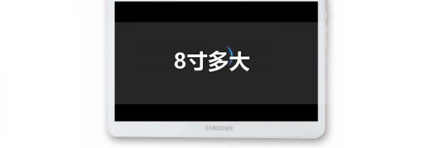8寸多大
