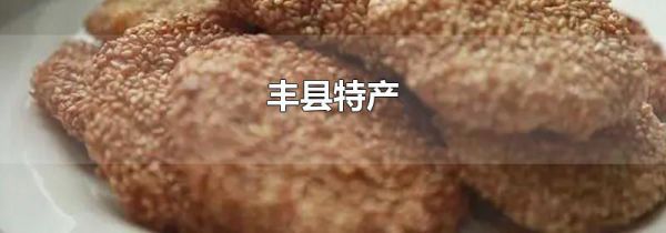 丰县特产