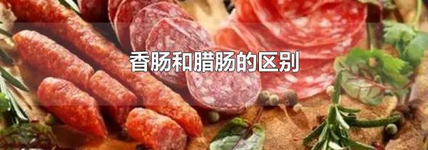 香肠和腊肠的区别