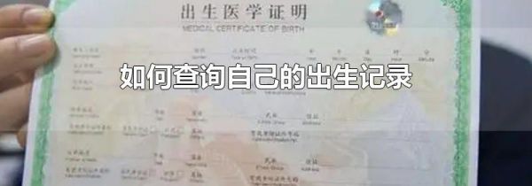 如何查询自己的出生记录