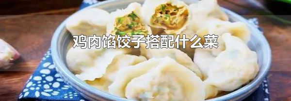 鸡肉馅饺子搭配什么菜