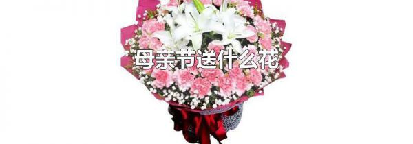 母亲节送什么花