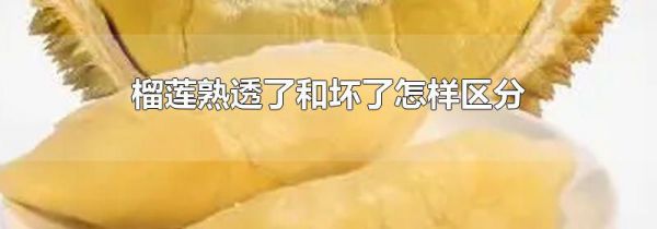 榴莲熟透了和坏了怎样区分