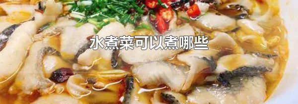 水煮菜可以煮哪些