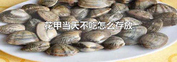 花甲当天不吃怎么存放