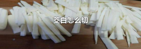 茭白怎么切