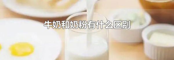 牛奶和奶粉有什么区别