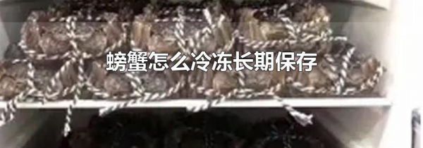 螃蟹怎么冷冻长期保存