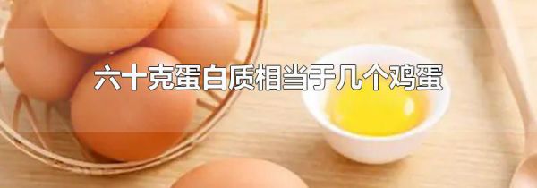 六十克蛋白质相当于几个鸡蛋